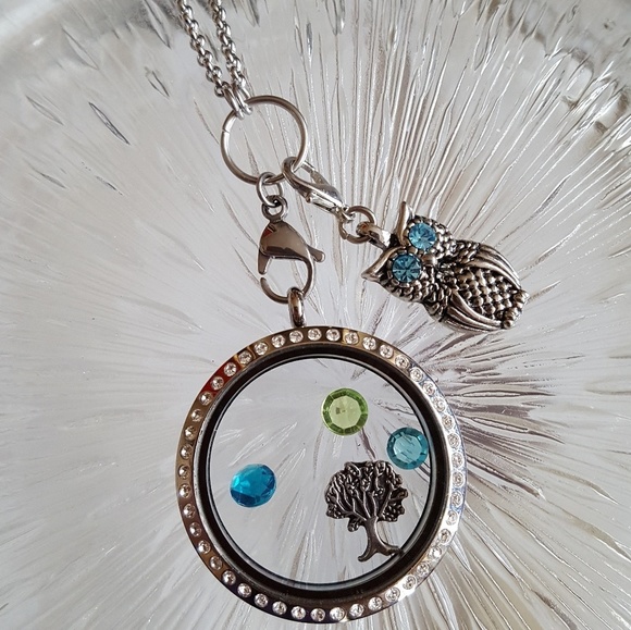 Jewelry - 𝅺Owl Lobster Charm for Picture Locket